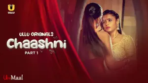 Chaashni